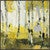 Yellow Birch Wall Art