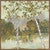 Lakeside Birch II Wall Art