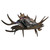 Moose Antler Magazine/Log Rack