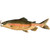 Trout Decorative Serving Tray