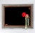 Bear Barnwood & Rust Mat Mirror