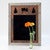 Barnwood Moose Forest Mirror
