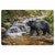 Black Bear Crossing Floor Mat - 2 x 4