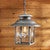 Bear Pawprints Galvanized Pendant Light