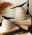 Clay Canisters with Wooden Bird Handles - Set of 2