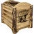 Cascade Magazine Rack - Bear