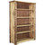 Cascade Bookcase