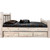 Denver Bed with Storage & Engraved Wolves - Twin - Lacquered
