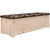 Denver Lacquered Blanket Chest with Woodland Seat