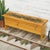 Pinecones Forest Trunk Bench