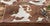 Cowhide Placemats - Set of 4