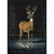 Midnight Buck Rug