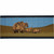 Bear Trek Rug - 2 x 5