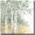 Misty Forest I Outdoor Wall Art