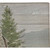 Cabin Life Outdoor Rug - 3 x 5