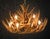 Whitetail 21 Antler Cascade Chandelier