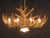 Whitetail 12 Antler Cascade Chandelier w/Downlight - SALE