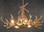 Elk Six Antler Chandelier w/ 3 Down Lights - SALE