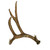Lone Mule Deer Antler