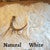 Lone Whitetail Antler