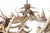 Forest Whitetail 15 Wide Faux Antler Chandelier