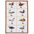 Decoy Collection Kitchen Towel - Set of 4