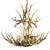 Mule Deer 16 Antler Chandelier