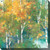 Aspen Trees in Autumn I Canvas Art