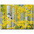 Aspen Trees Indoor/Outdoor Canvas Art