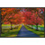 Autumn Lanes Framed Canvas