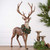 Holly Jolly Deer Figurines - Set of 2
