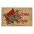 Red Bird Doormat