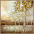 Autumn Pond Canvas Art