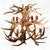 Whitetail Symphony Chandelier