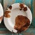 Cowhide Ranch Melamine Salad Plates - Set of 4- SALE