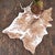 Light Brindle Cowhide Rug - Small