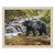 Searching for Dinner Framed Wall Art