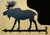 Majestic Moose Coat Rack
