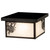 Colorado Pine Flush Mount Ceiling Light