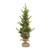 Rustic Pinecone Pine Tree