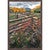 Colorado Divide Wall Art