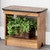 Bear Canyon Wood Accent Table