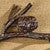 Pinecone Branch Wall Hooks - Large