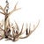 Wilderness Glow Antler Chandelier