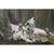 Unison Limited Edition Print