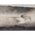 The First Call Limited Edition Print
