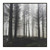 Misty Forest Framed Wall Art