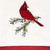 Cardinal on Branch Embroidered Dishtowel - Set of 4