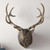 Elk Bust Wall Sculpture