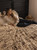 Ranch Hand Toile Western Quilt Bed Set - Queen